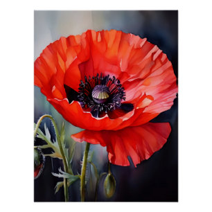 Pôster Bright Red Poppy com Centro Escuro