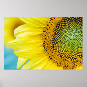 Poster Bright Sunflower