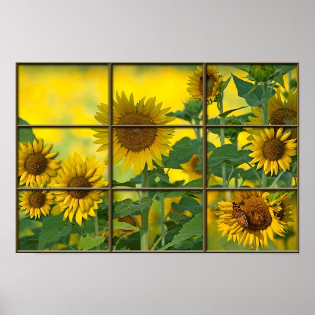 Pôster Bright Sunshiny Day (Frente)