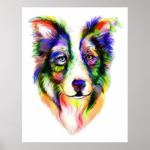 Poster brilhante de border collie
