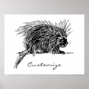 Poster Brilhante Hedgehog Thunder_Cove