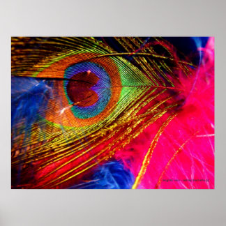 Pôster Brilhante Vain