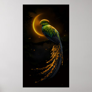 Poster Brilho da Pena Noturna