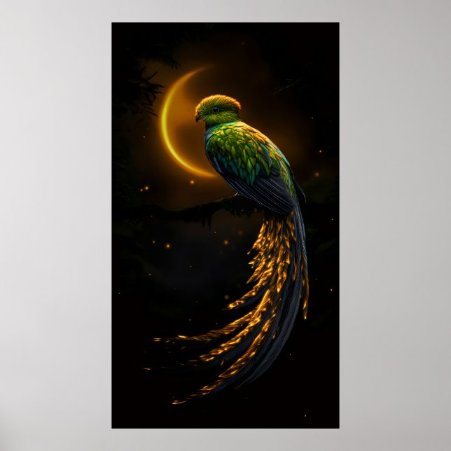 Poster Brilho da Pena Noturna (Frente)