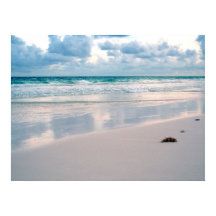 Brilho de rosa em uma praia Sunset