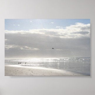 Pôster Brilho do sol