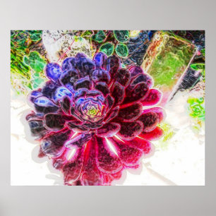 Poster Brilho elétrico