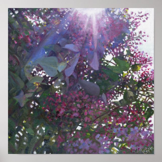 Poster Brilliance 2014 (Frente)