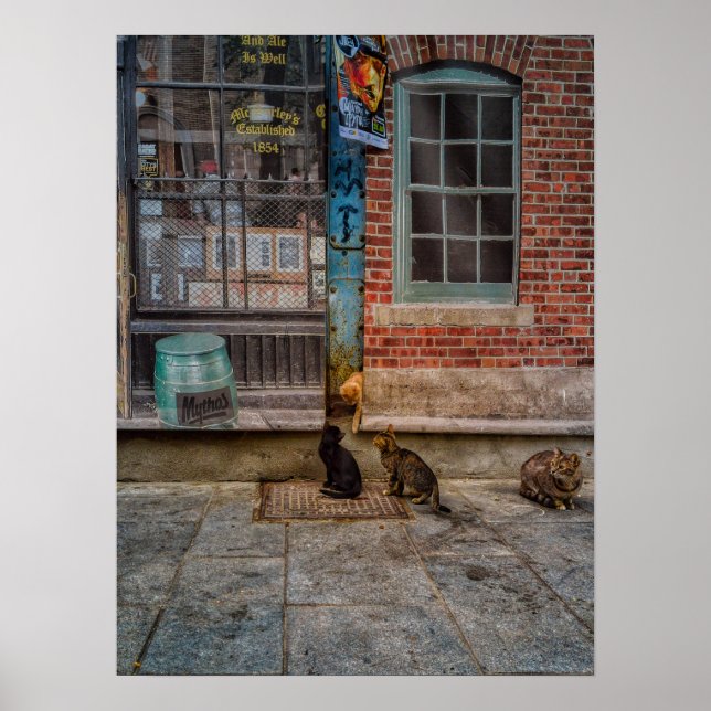 Poster Brincadeira de gato (Frente)