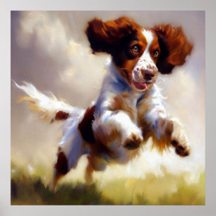 Poster Brittany Dog