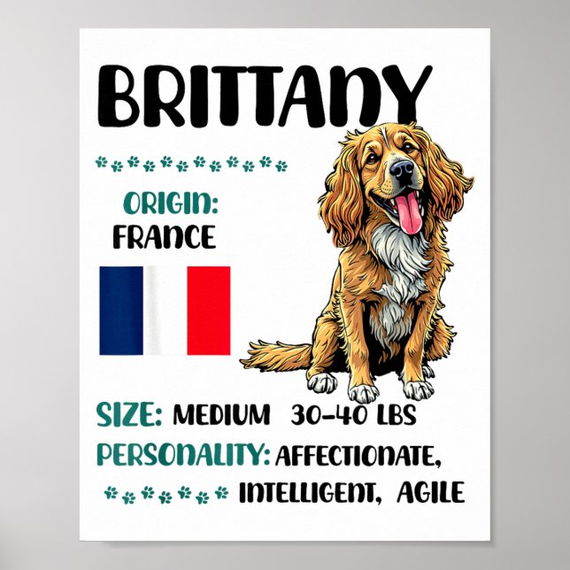Poster Brittany Origin Funny Brittany Dog Lover  (Frente)