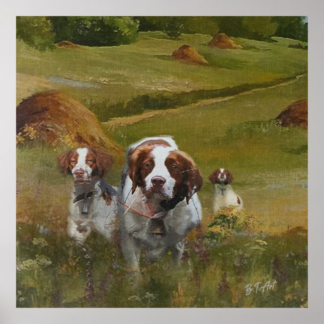 Poster Brittany Spaniel (Frente)