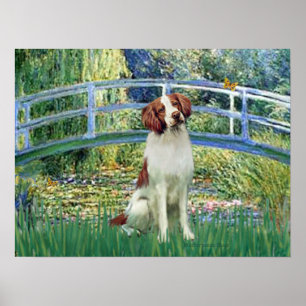 Pôster Brittany Spaniel 3 - Ponte Lily Pond