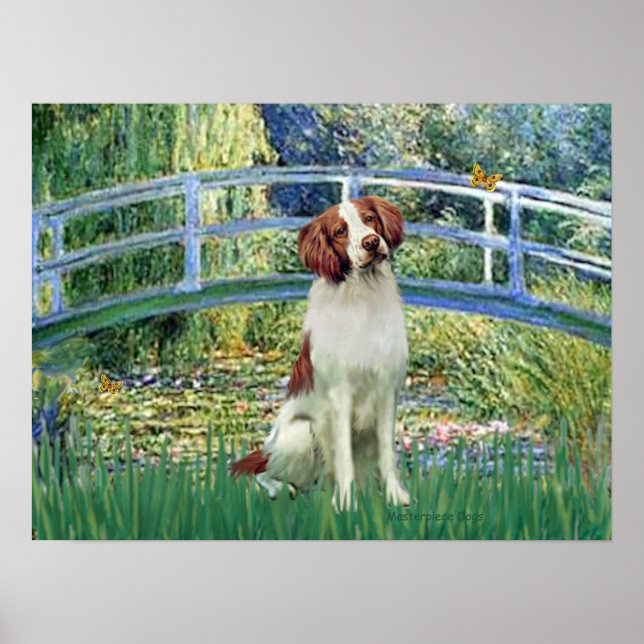 Pôster Brittany Spaniel 3 - Ponte Lily Pond (Frente)