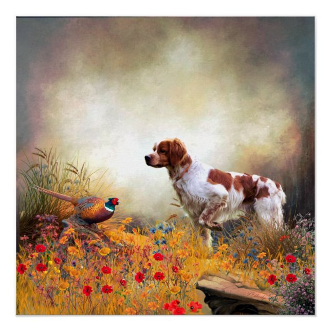 Pôster Brittany Spaniel, caçando faisão (Frente)