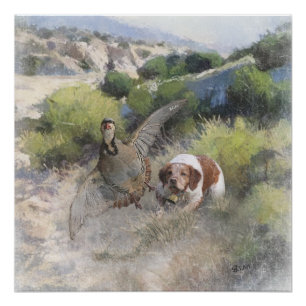 Pôster Brittany Spaniel caçando partucho chukar, Art