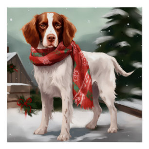 Pôster Brittany Spaniel Dog no Natal da Neve