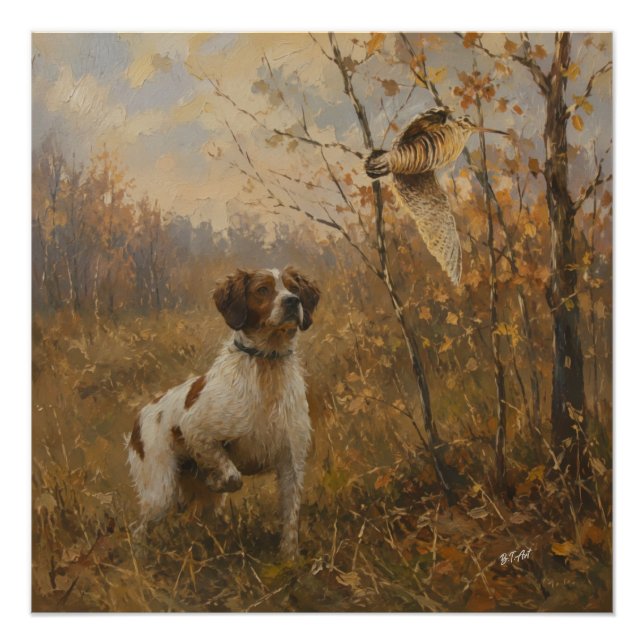 Pôster Brittany Spaniel e narceja  (Frente)