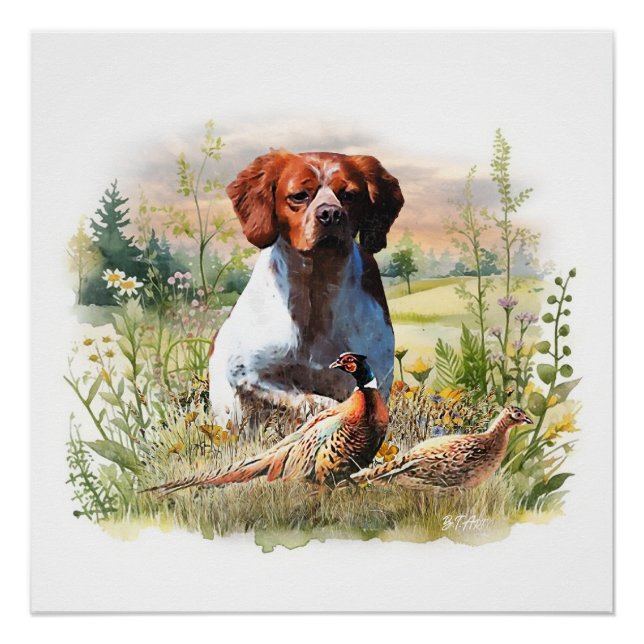 Pôster Brittany Spaniel – Field, Focus, Pheasant , Art  (Frente)