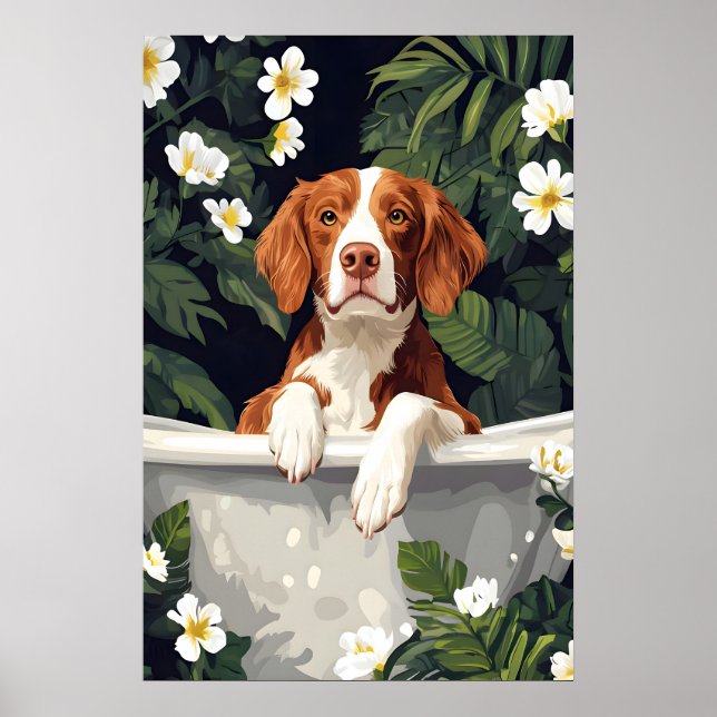 Poster Brittany Spaniel In Bathtub Poster, Funny Dog (Frente)