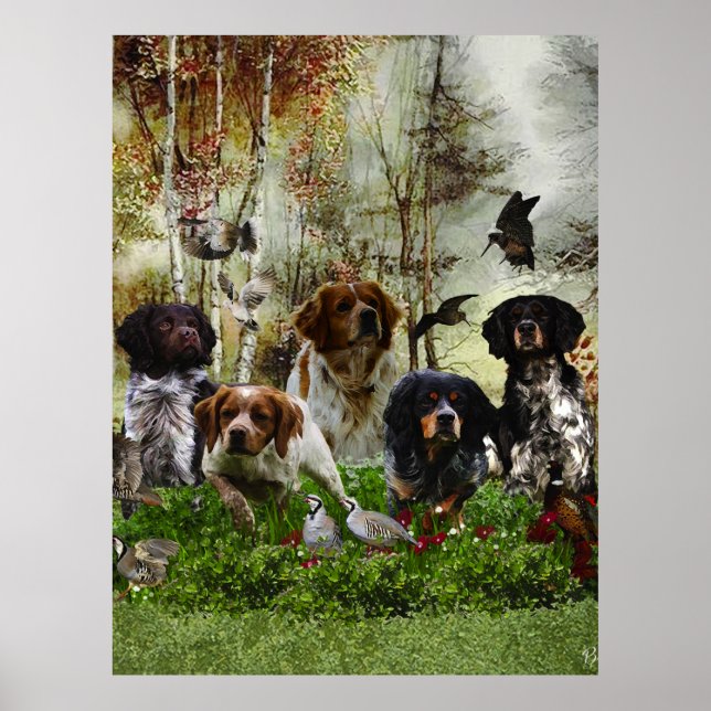 Poster Brittany Spaniels, Caça de Pássaros (Frente)