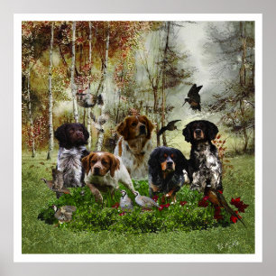 Poster Brittany Spaniels , Estação de Caça de Pássaros