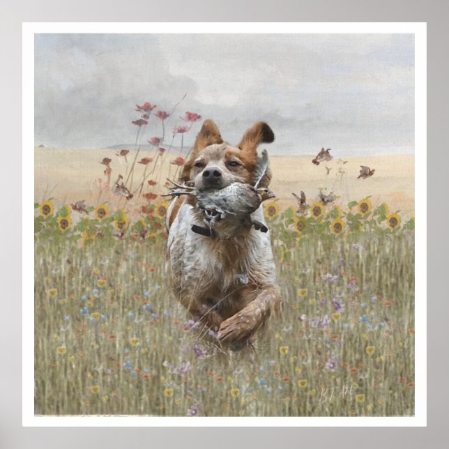 Poster Brittany Spaniels , Estação de Caça de Pássaros (Frente)