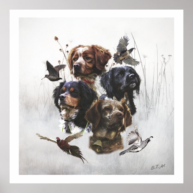Poster Brittany Spaniels , Estação de Caça de Pássaros (Frente)