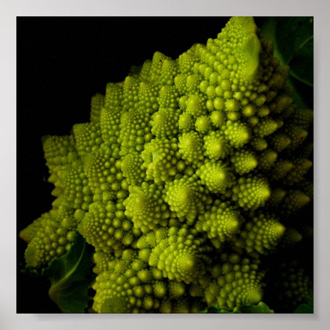 Pôster Broccoli (Frente)