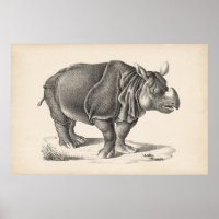 Brodtmann Rhinoceros Sketch