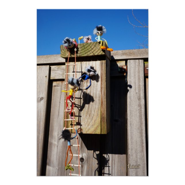 Pôster Broedkast vogelhuisje dat beklommen fubby's (Frente)