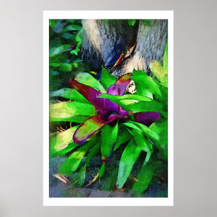 Pôster Bromeliad tropical