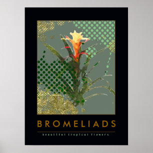 Poster bromeliads art decor suggestion