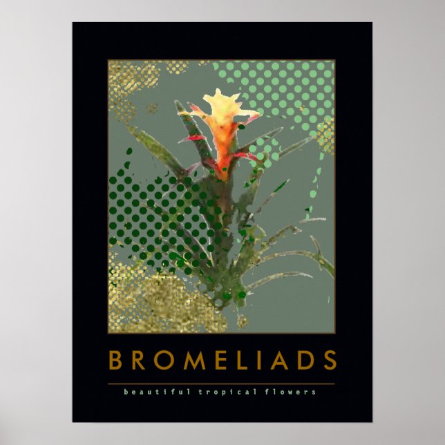 Poster bromeliads art decor suggestion (Frente)