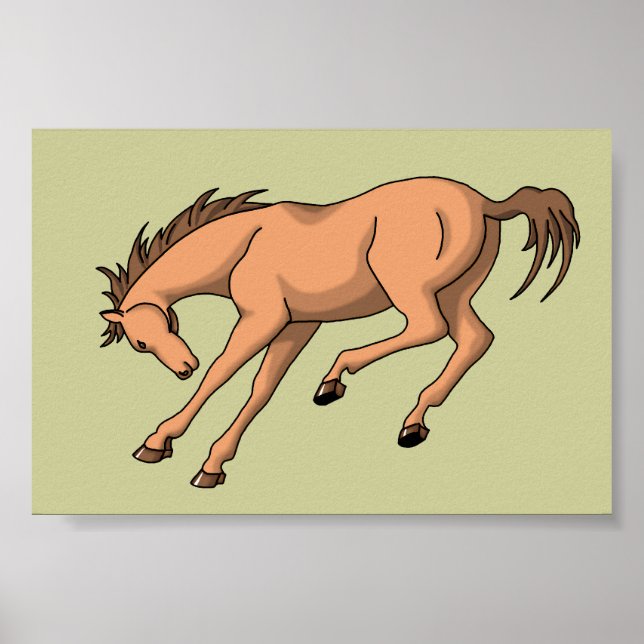 Poster Bronco (Frente)