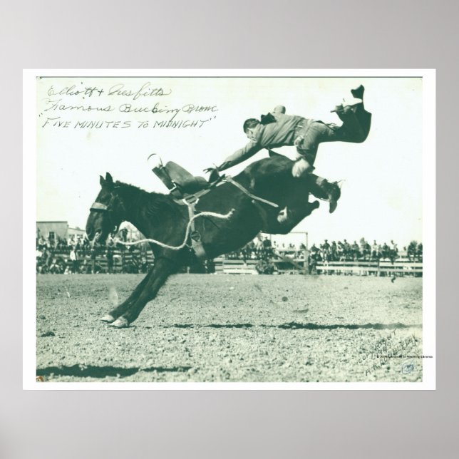 Poster Bronco de Balança Famoso Cinco Minutos (Frente)