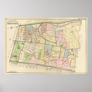 Pôster Bronx 25 NW