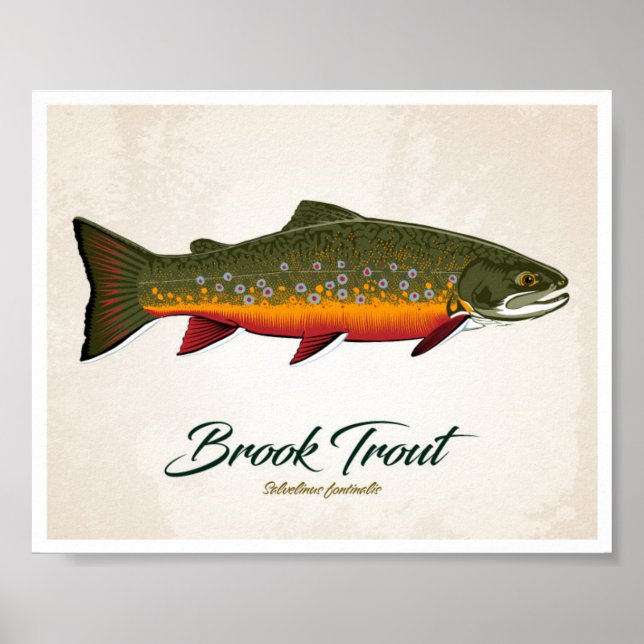 Poster Brook Trout (Frente)