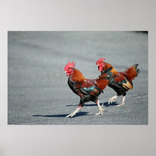 Pôster "Bros em um Stroll "