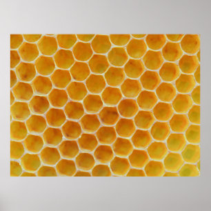 Poster Brown and white square pattern