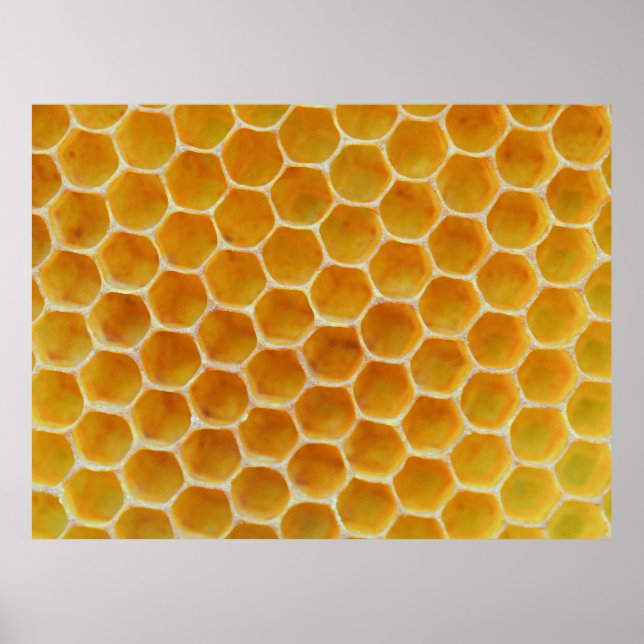 Poster Brown and white square pattern (Frente)