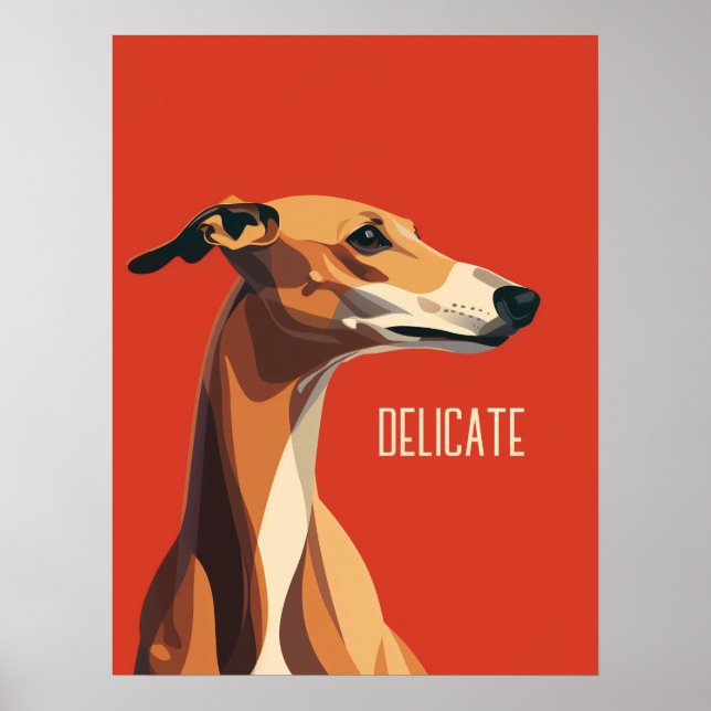 Poster Brown Delicate Greyhound (Frente)