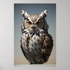 Poster Brown Owl
