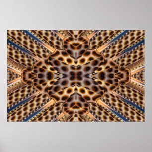 Pôster Brown pheasant feather kaleidoscope