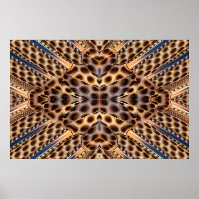 Pôster Brown pheasant feather kaleidoscope (Frente)