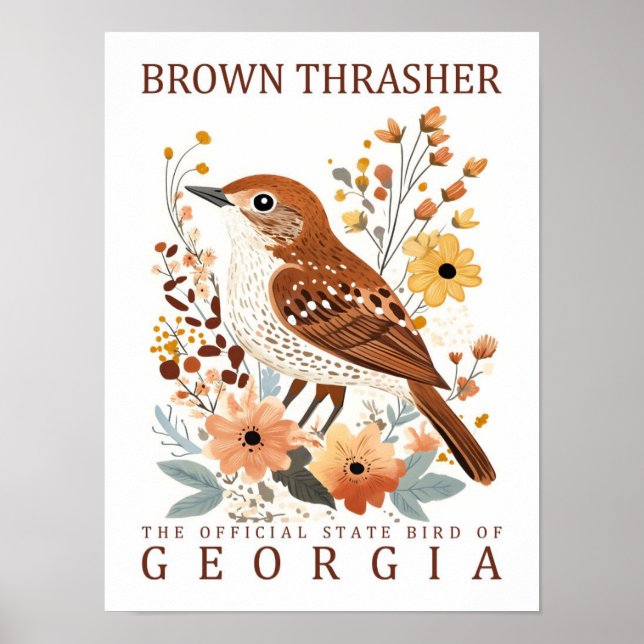Poster Brown Thrasher Bird, Viagem da Georgia USA (Frente)