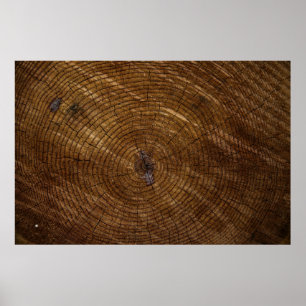 Poster Brown tree trunk