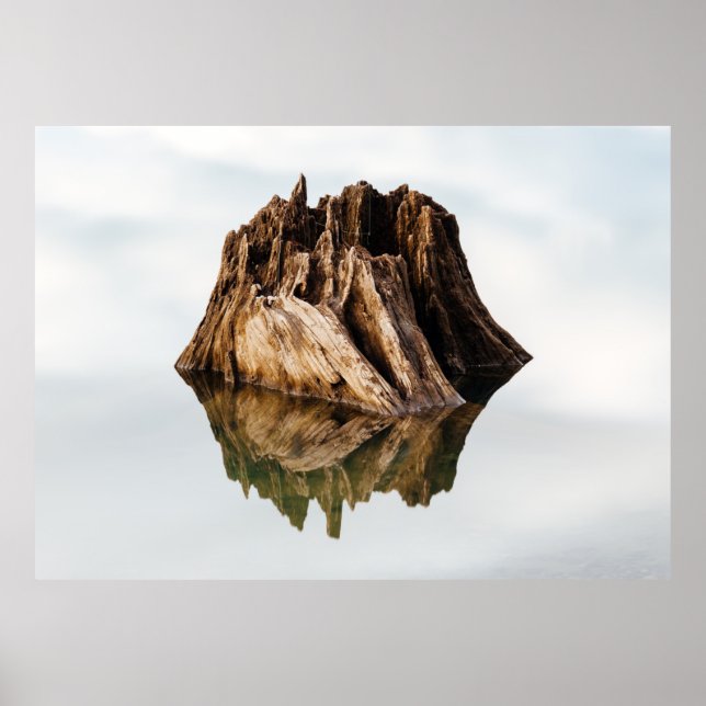 POSTER BROWN WOODEN FRAME (Frente)