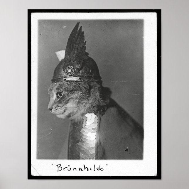 Poster Brunhilda Brunhilda Brynhild Brünhilde Cat (Frente)