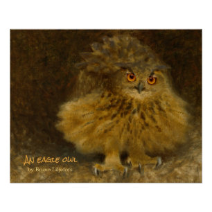 Pôster Bruno Liljefors Eagle-owl 1905 CC1176 Wildlife